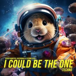 I Could Be The One (Techno)
