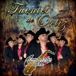 Cover of Fuentes de Ortiz