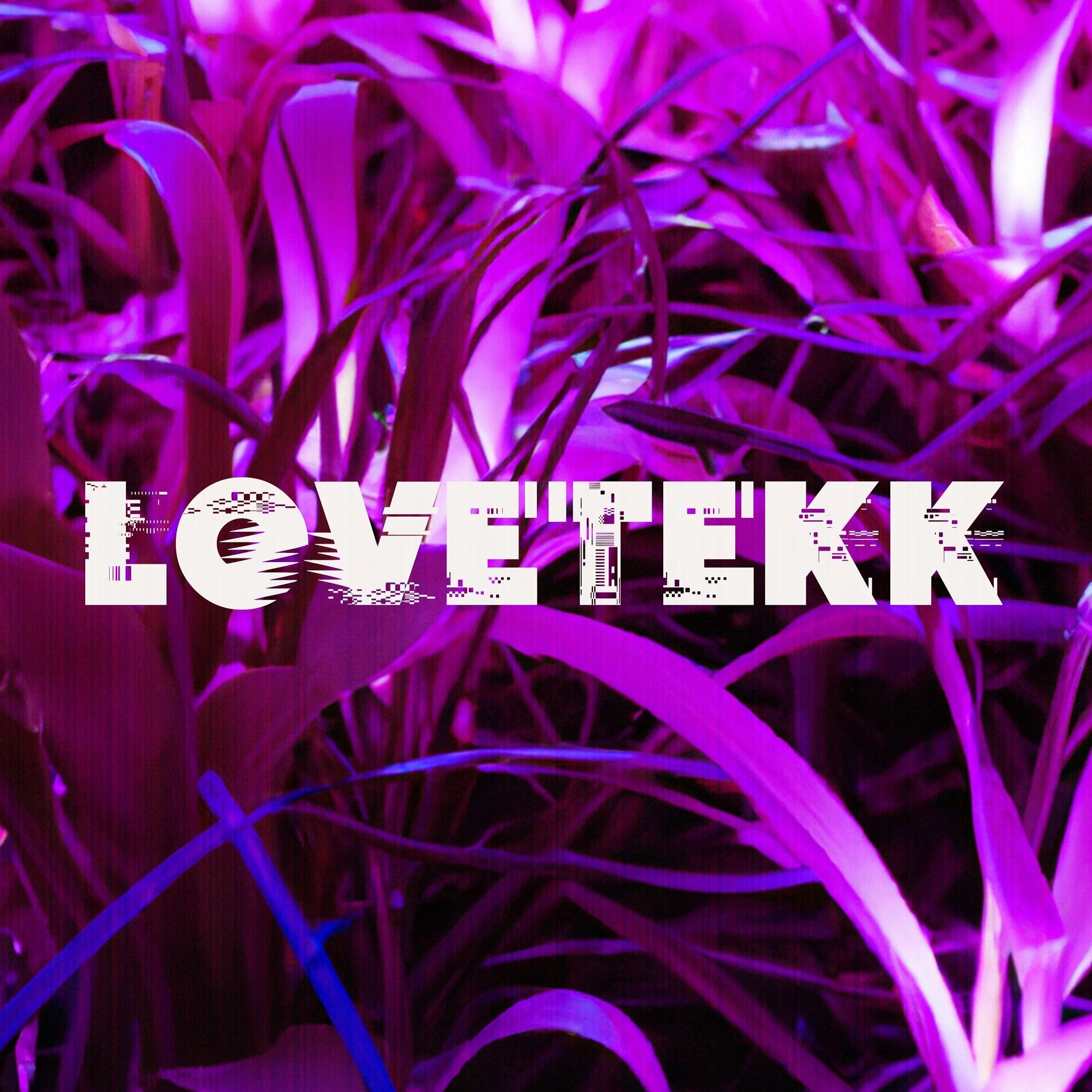 Album cover of Lovetekk