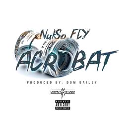 Cover of Acrobat