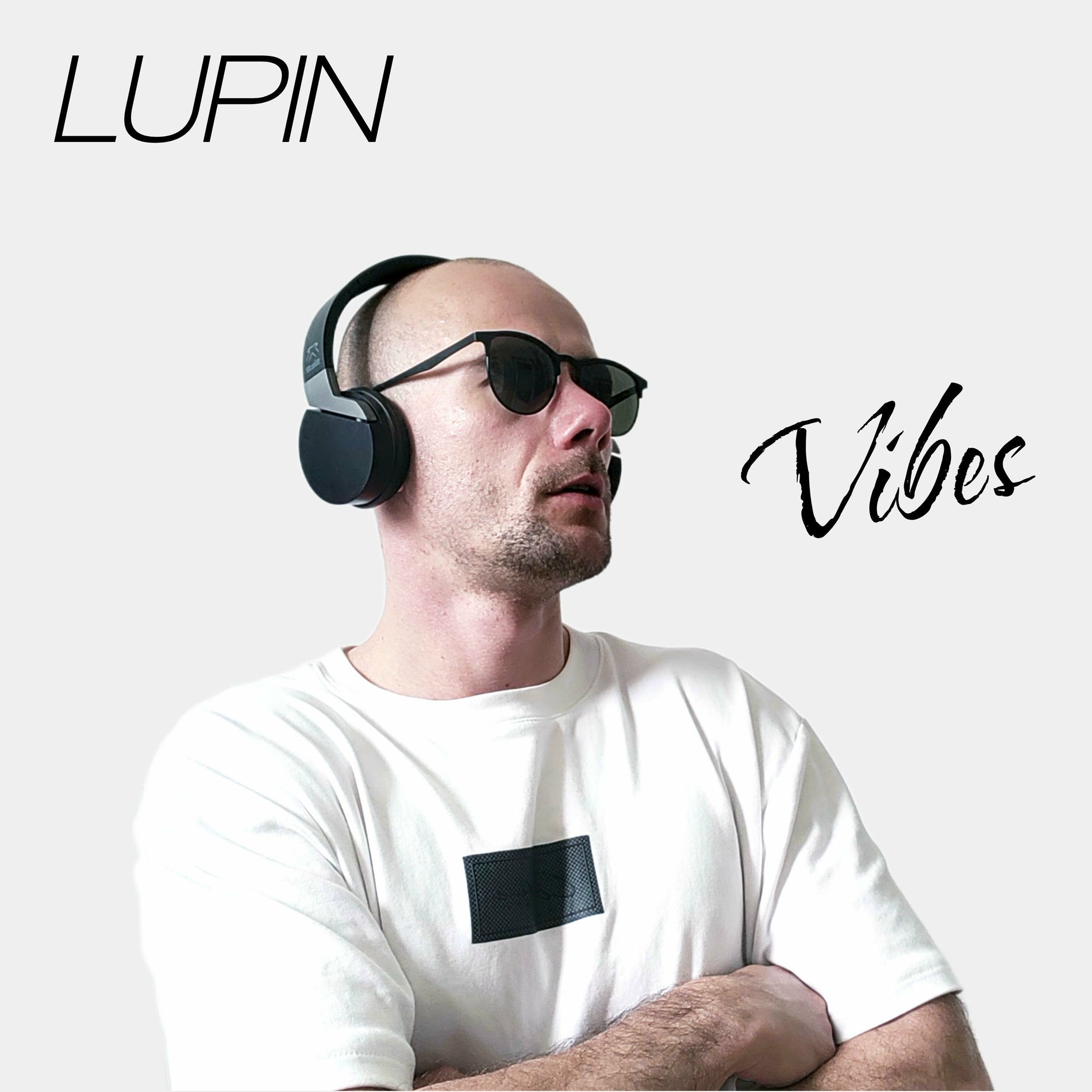 Album cover of Vibes