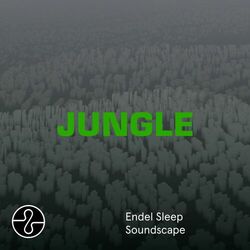 Cover of JUNGLE (Sleep Soundscape)