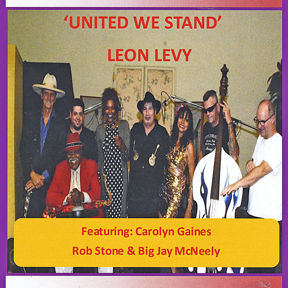 Album cover of United We Stand