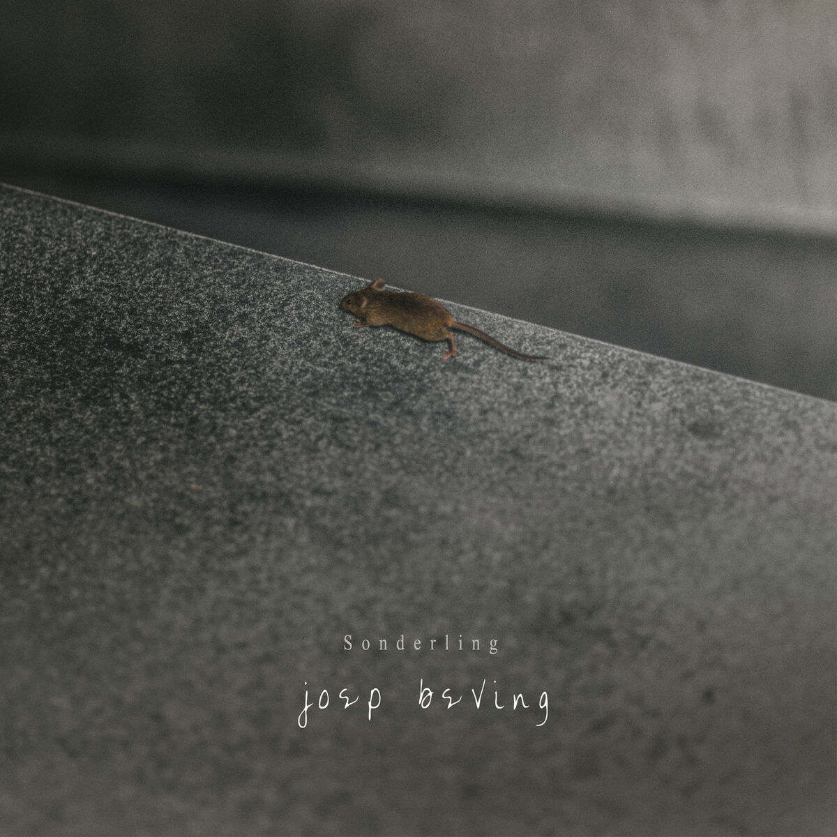Album cover of Sonderling