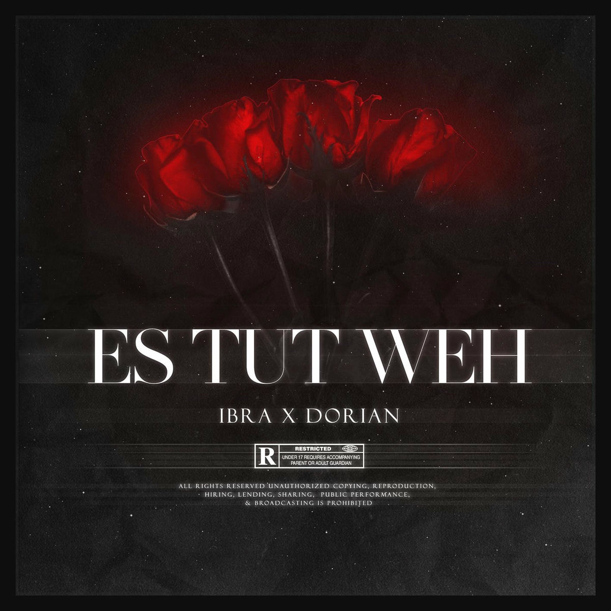 Album cover of Es tut weh