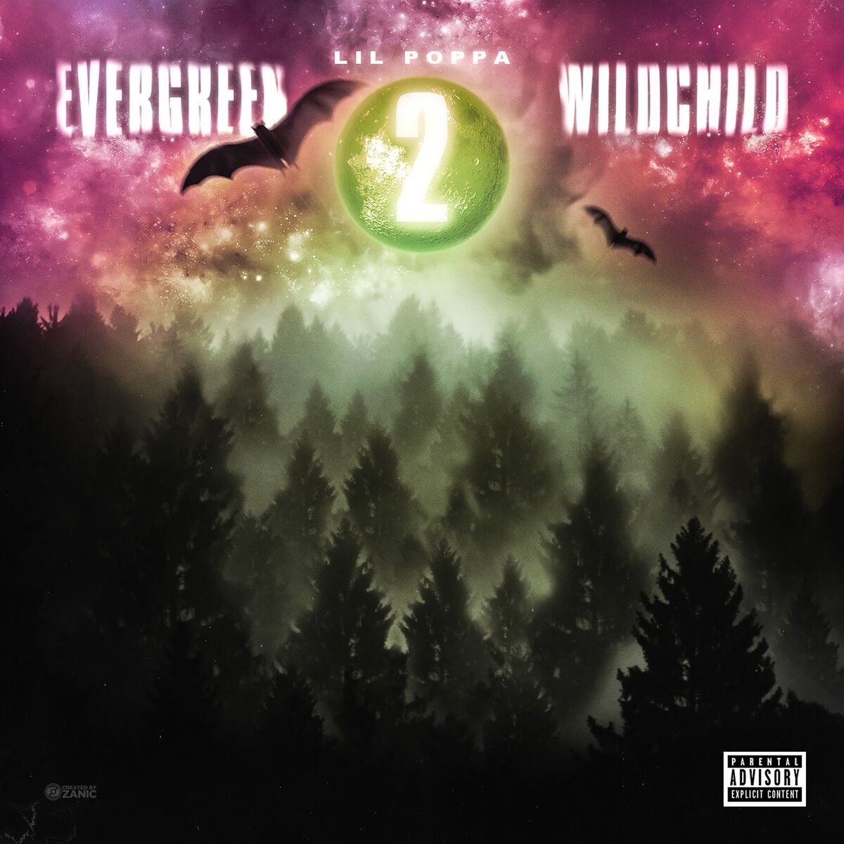 Album cover of Evergreen Wildchild 2