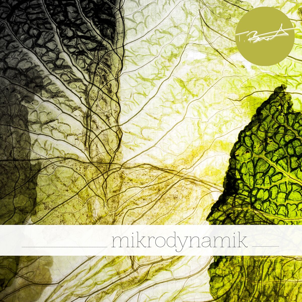 Album cover of Spross