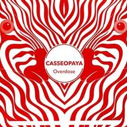 music cover