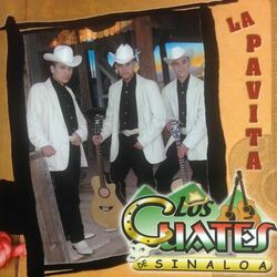 Cover of La Pavita