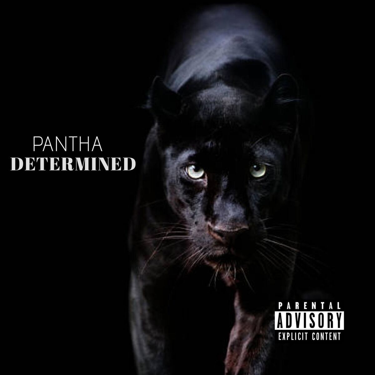Album cover of Determined