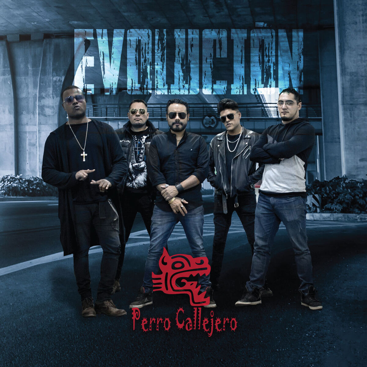 Album cover of Evolución