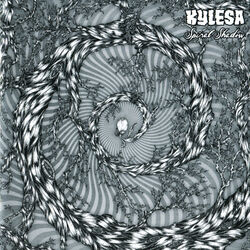 Cover of Spiral Shadow