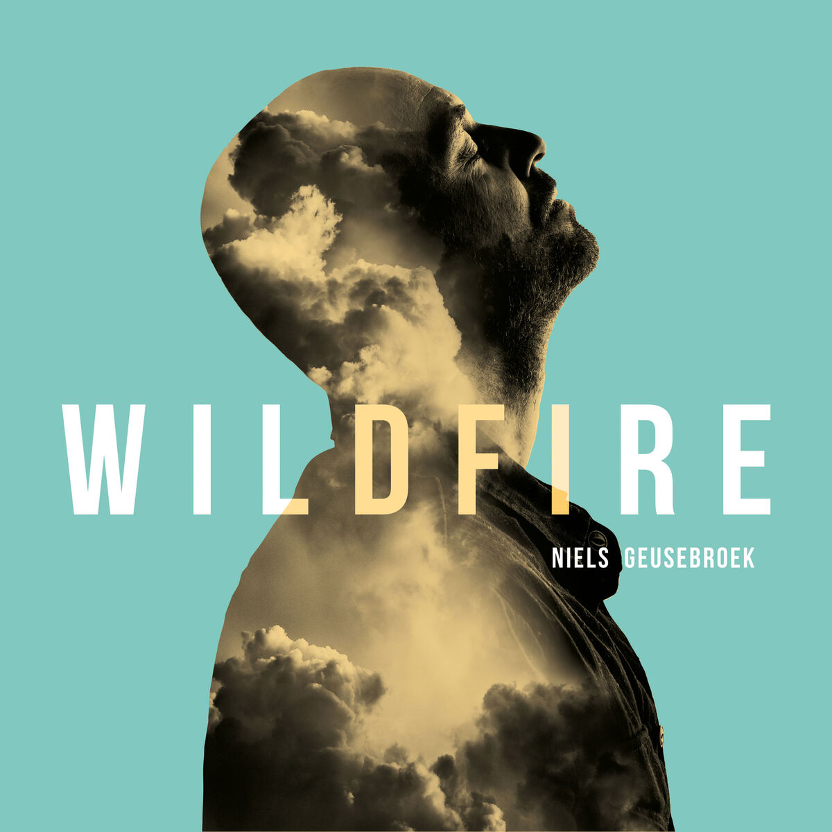 Album cover of Wildfire