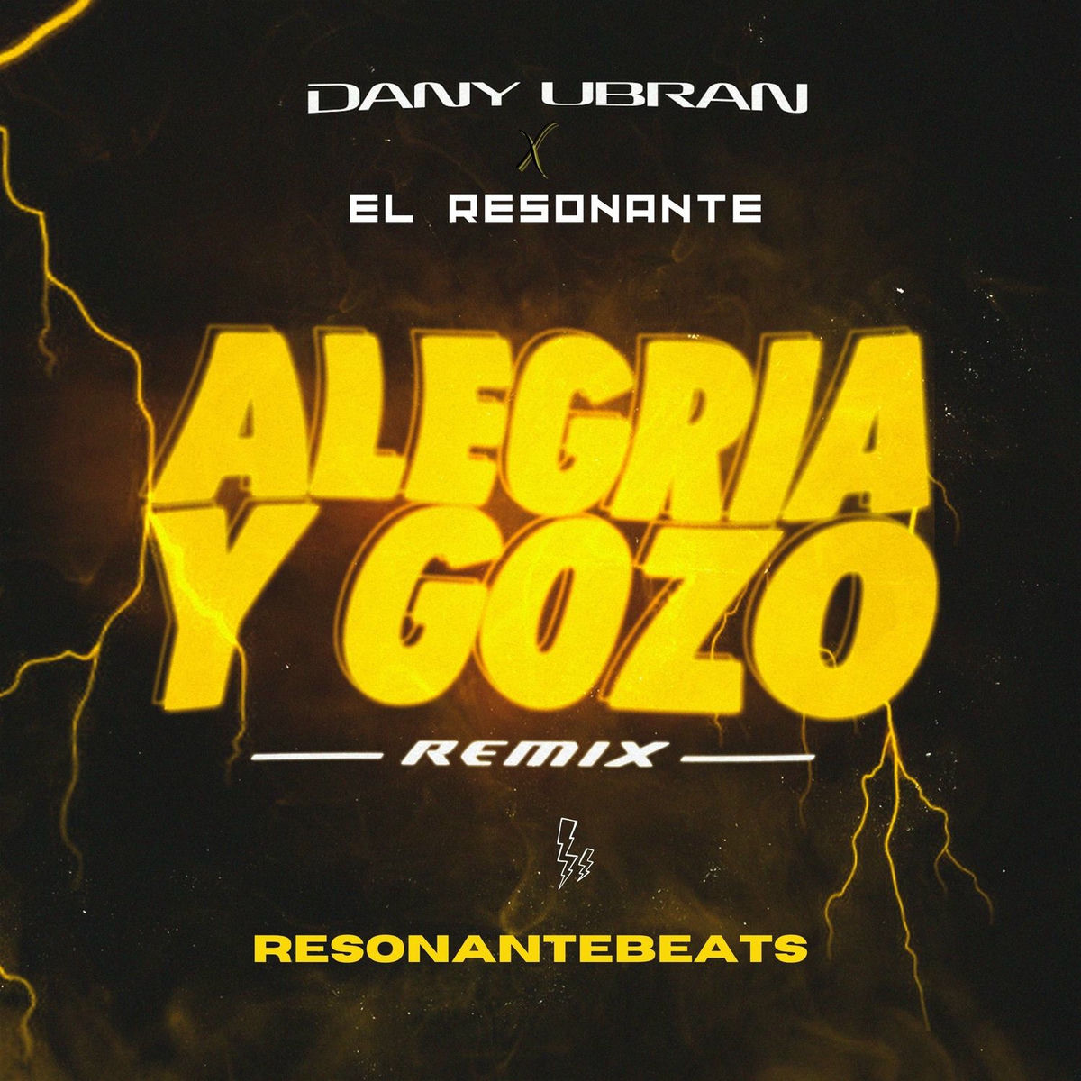 Album cover of Alegría y Gozo (Remix)