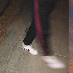 Cover of Futurangelics