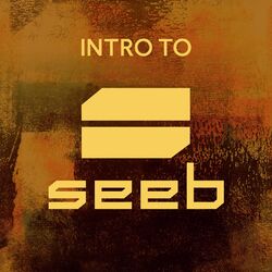 Cover of Intro To Seeb