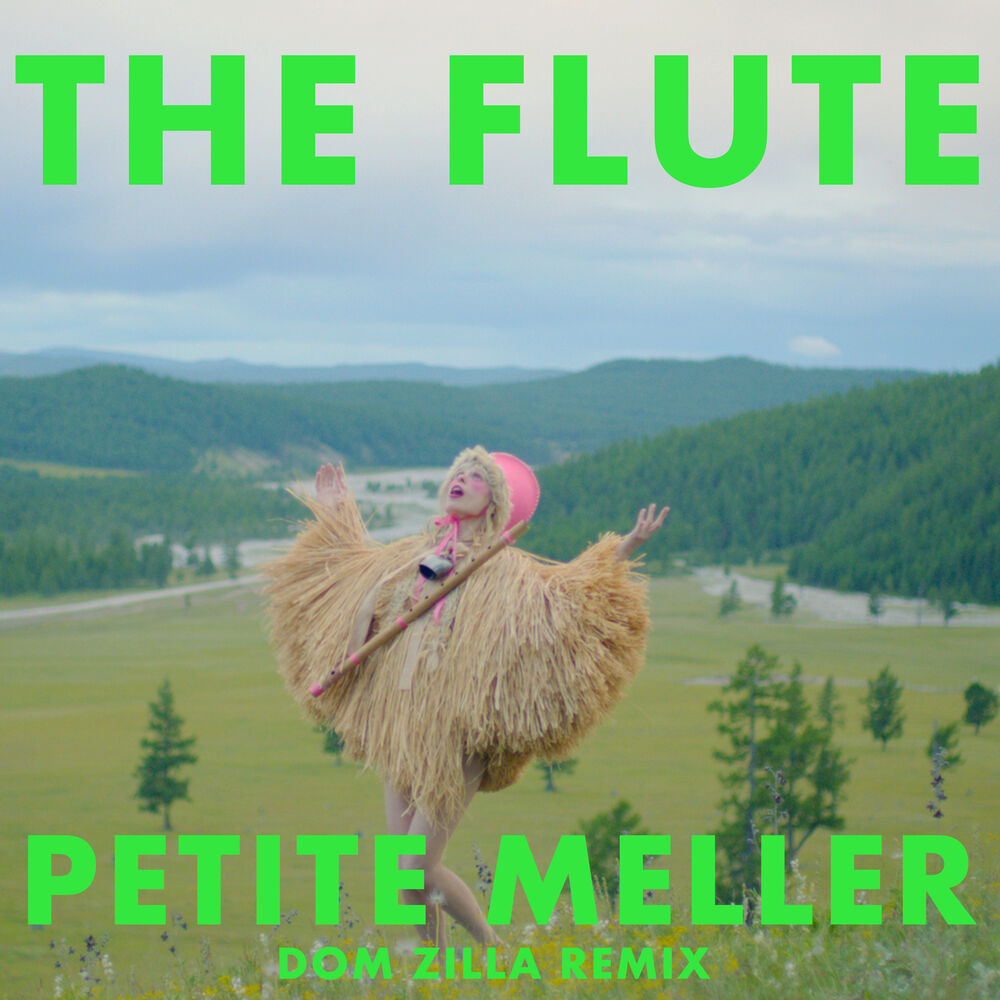Picture of The Flute (Dom Zilla Remix)