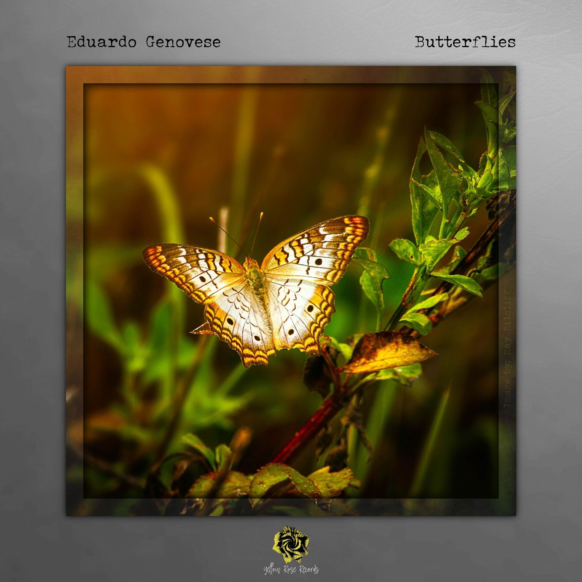 Album cover of Butterflies