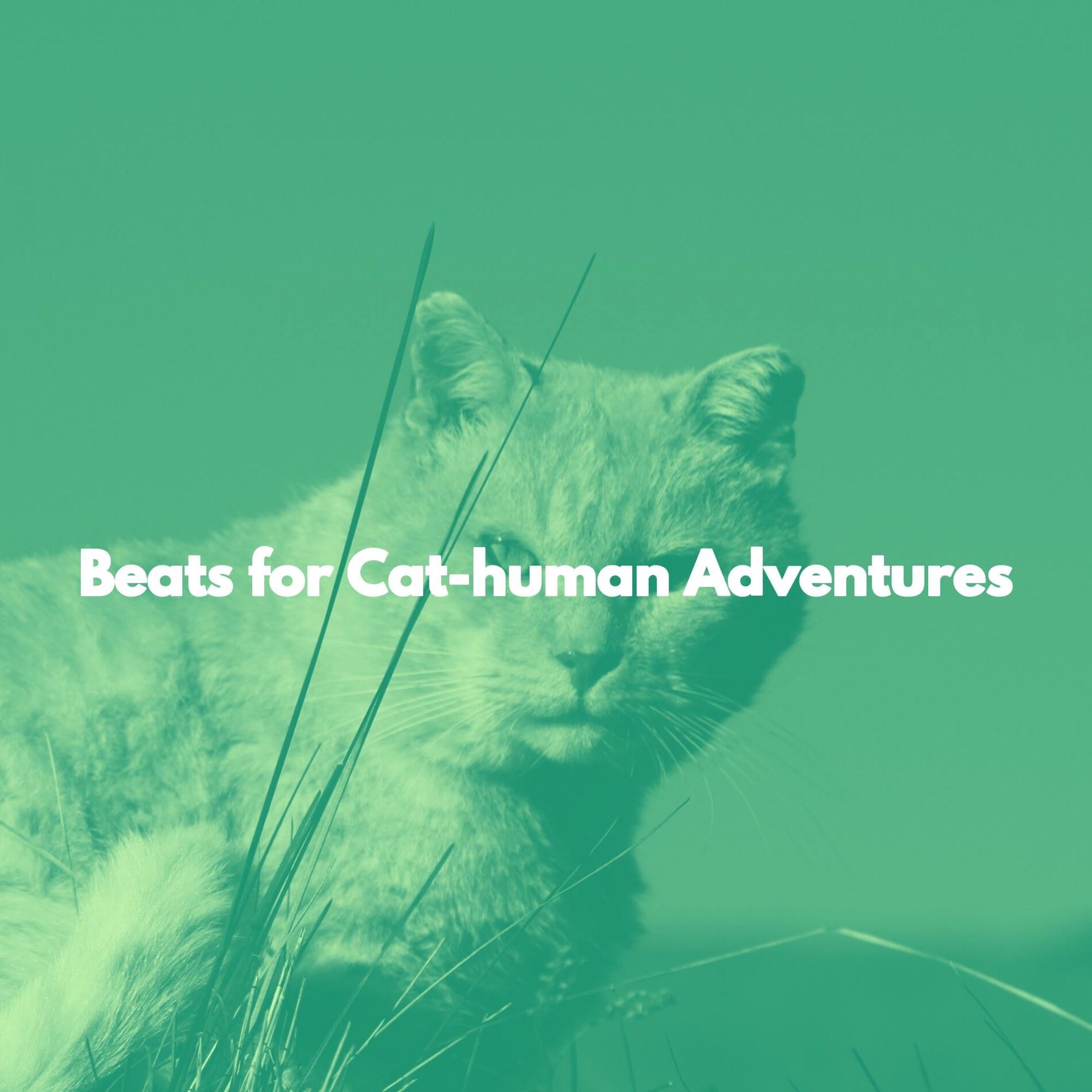 Album cover of Beats for Cat-human Adventures