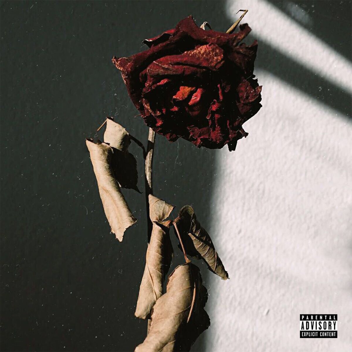 Album cover of Reflexões