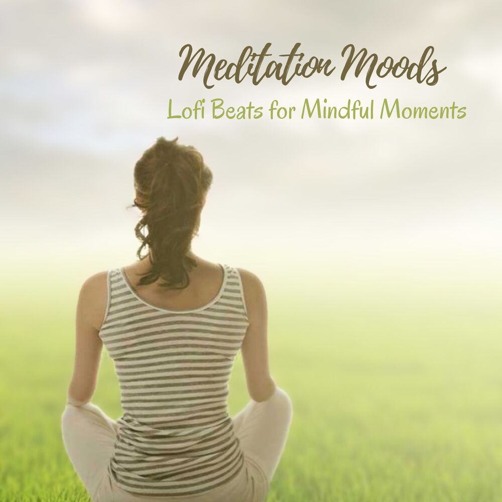 Picture of Meditation Moods: Lofi Beats for Mindful Moments