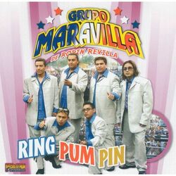 Cover of Ring Pum Pin