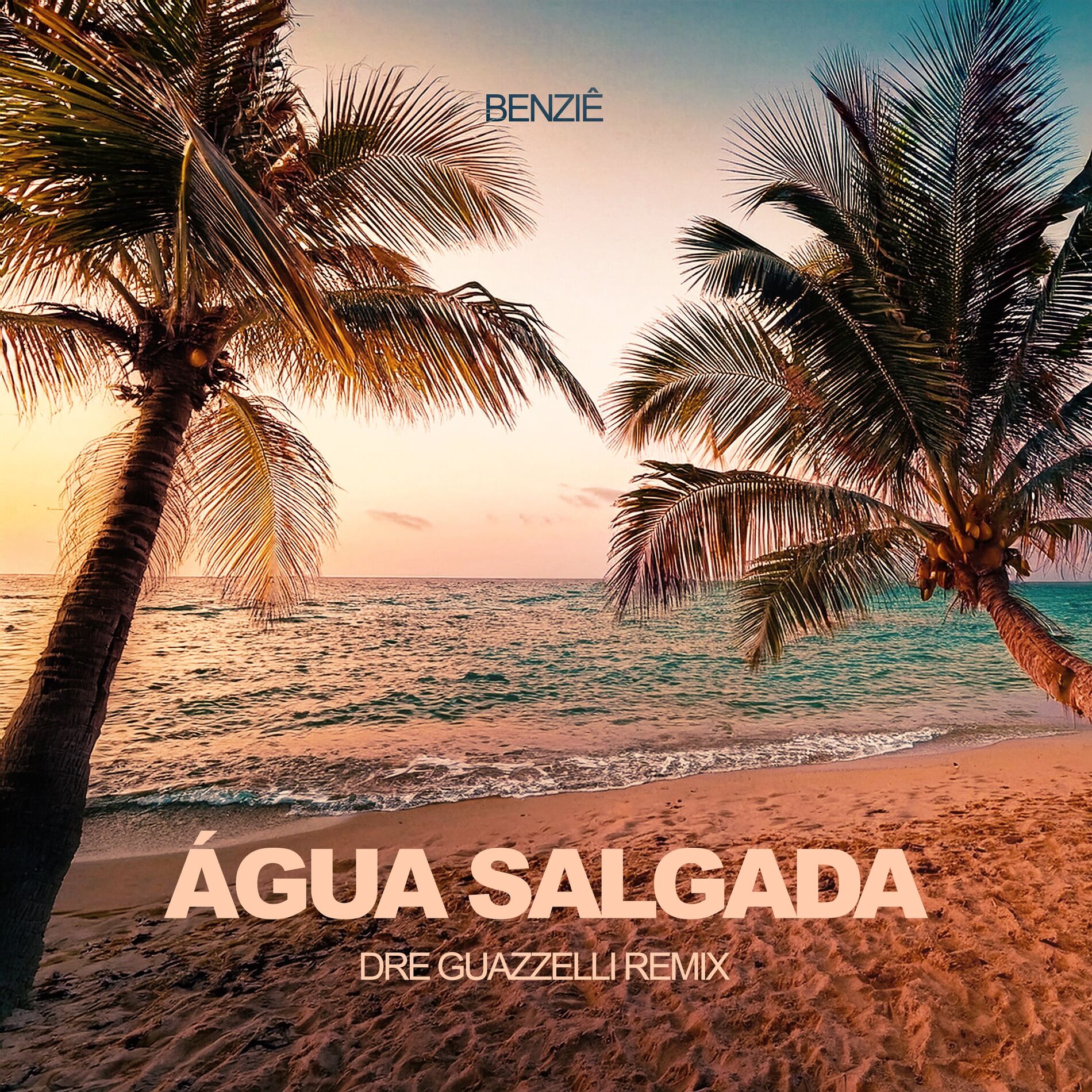 Album cover of Água Salgada