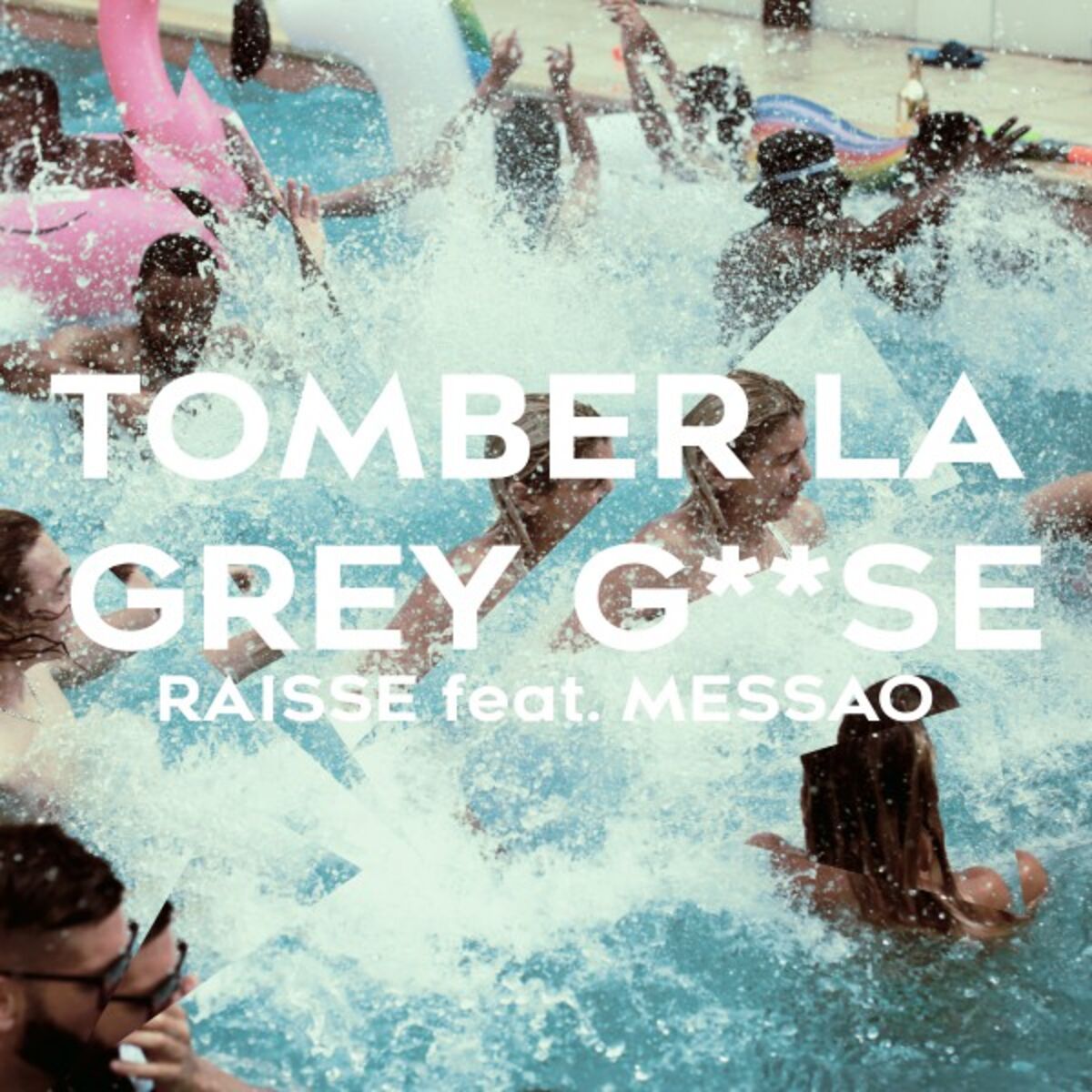 Album cover of Tomber la Grey G**se