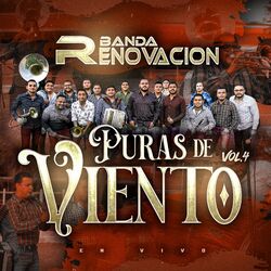 Cover of Puras De Viento, Vol.4 (En Vivo)