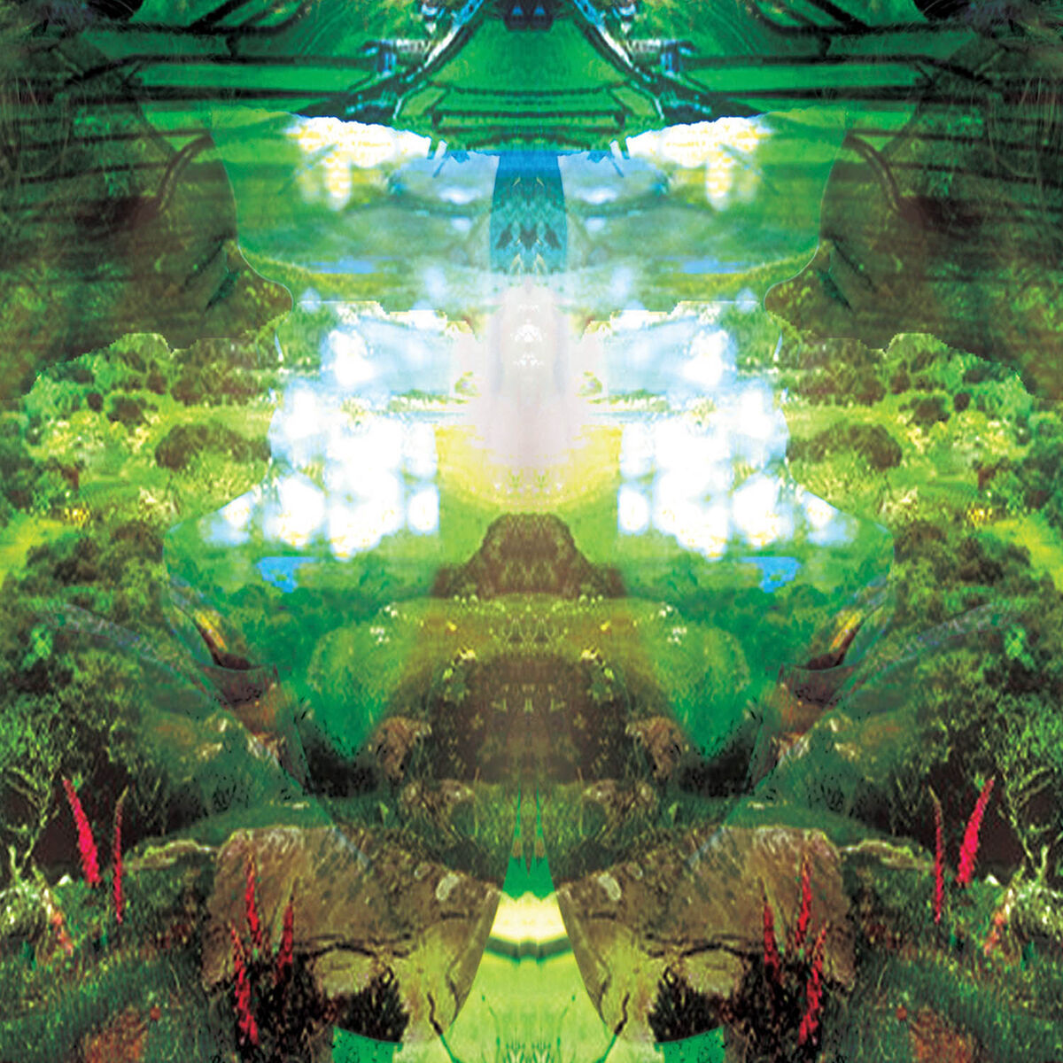 Album cover of Forest Stream