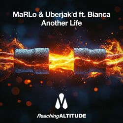 Cover of Another Life