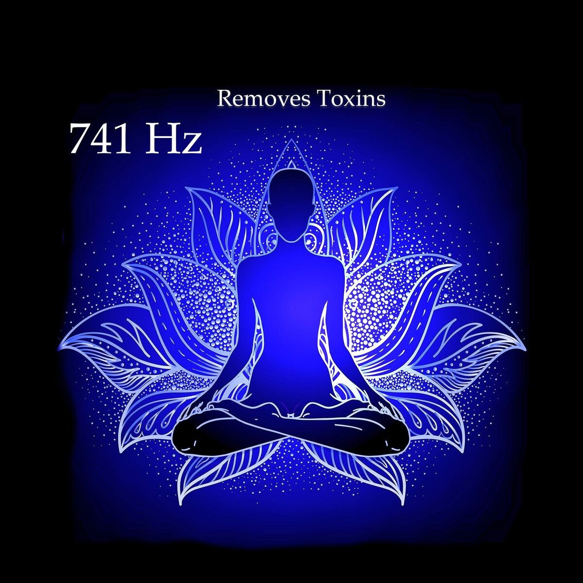 Album cover of 741 Hz Remove Toxins