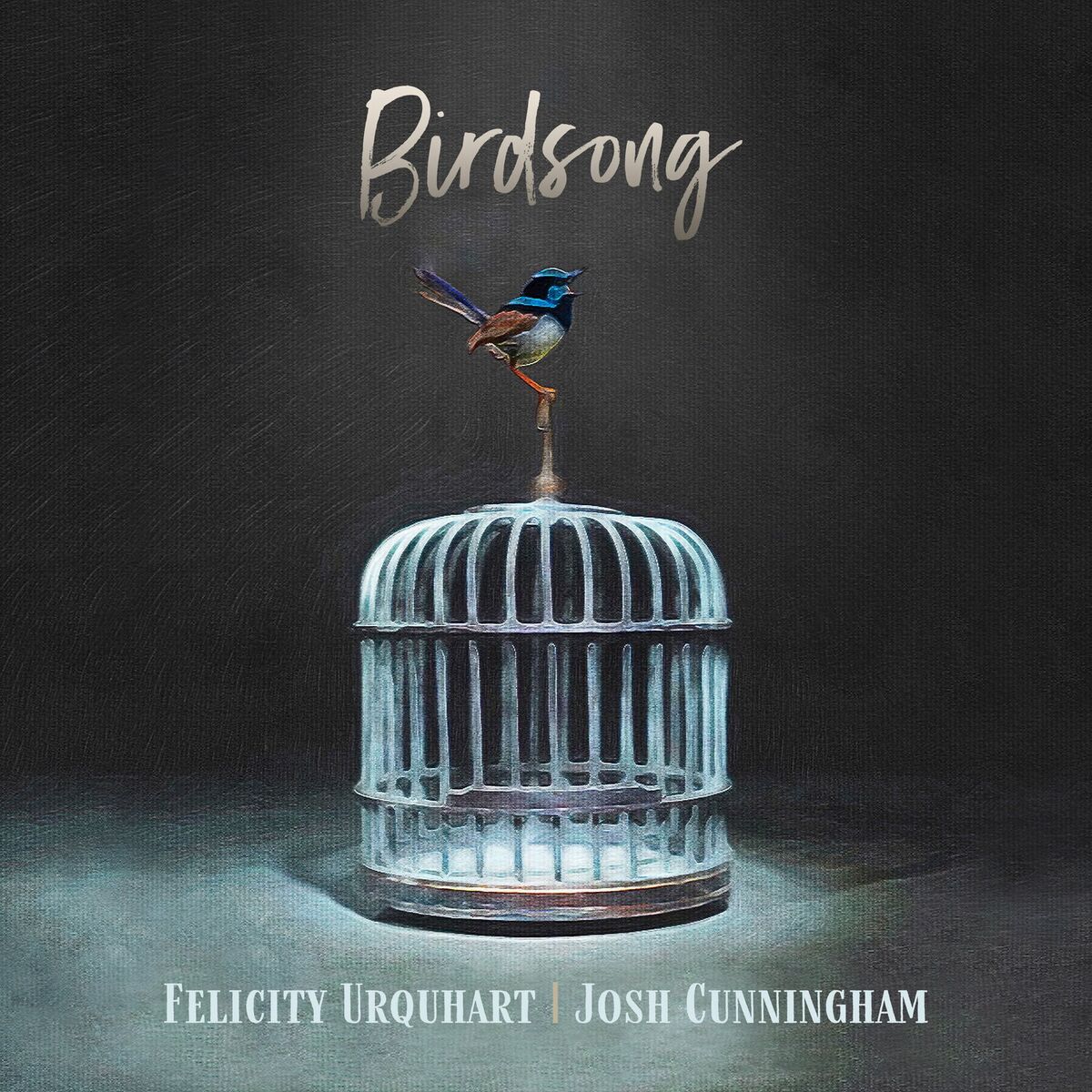 Album cover of Birdsong
