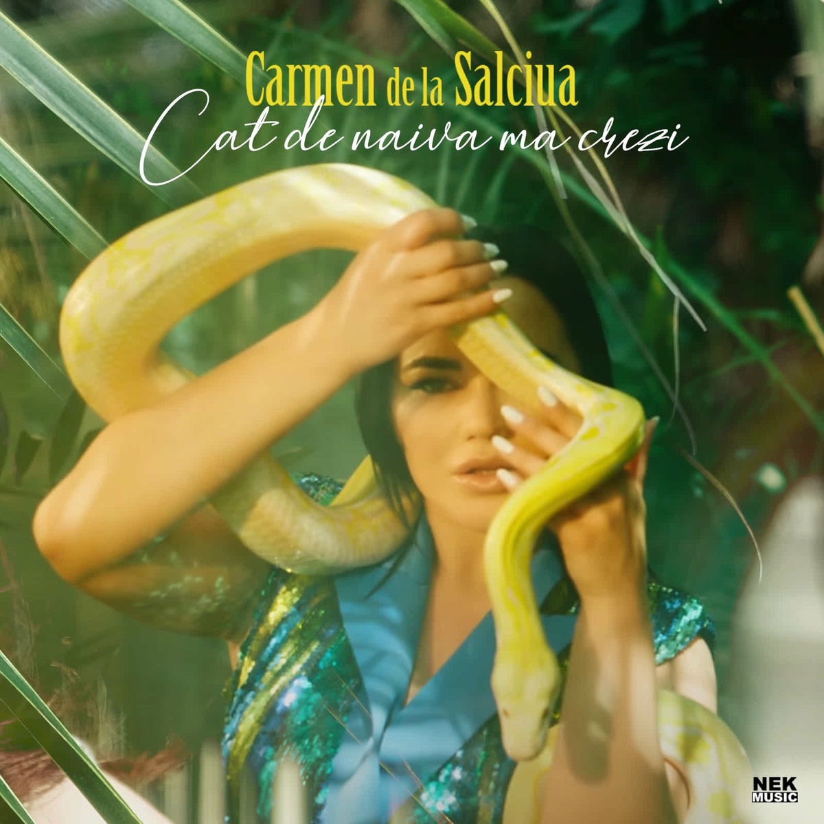 Album cover of Cat De Naiva Ma Crezi