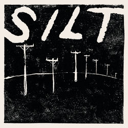 Silt cover
