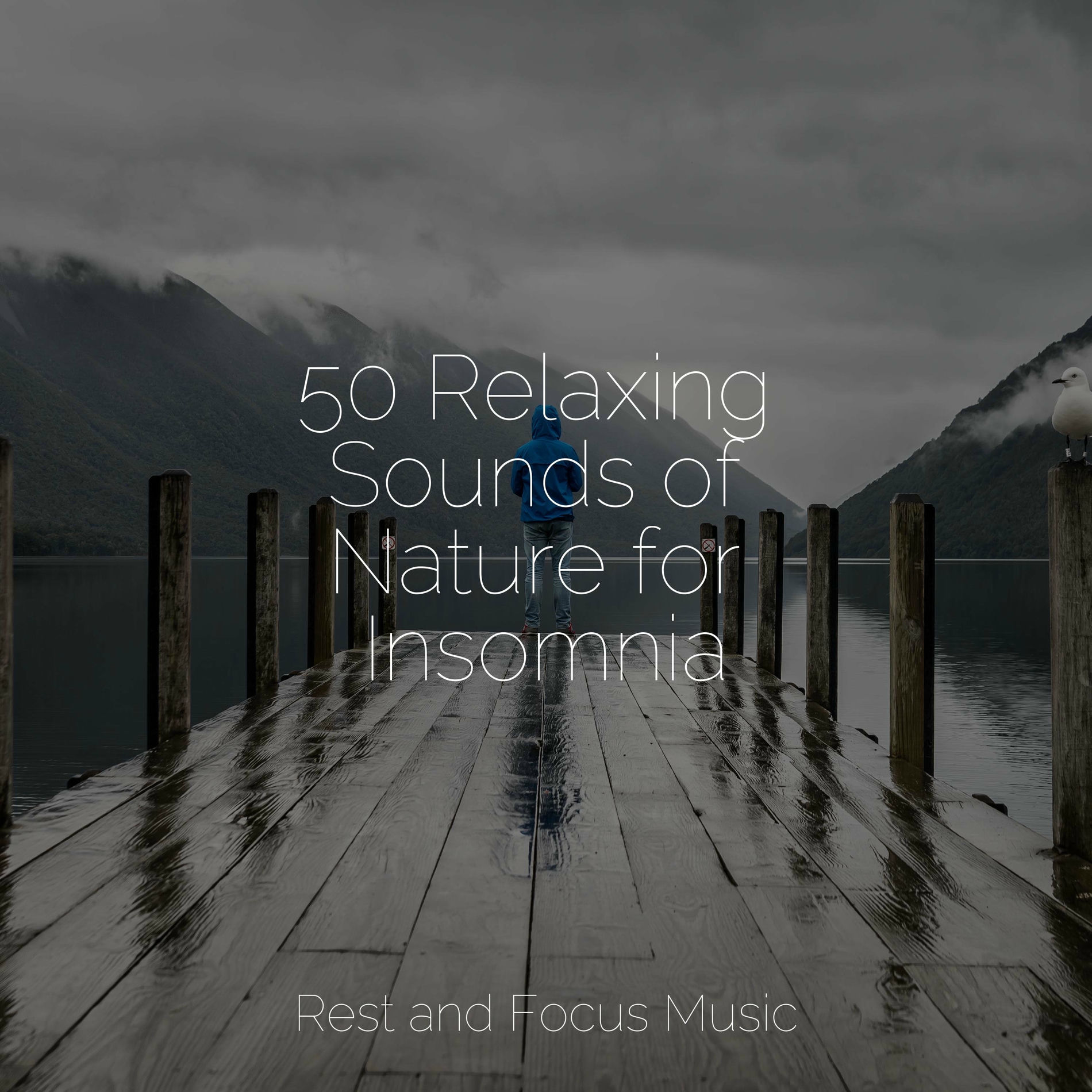 Album cover of 50 Relaxing Sounds of Nature for Insomnia