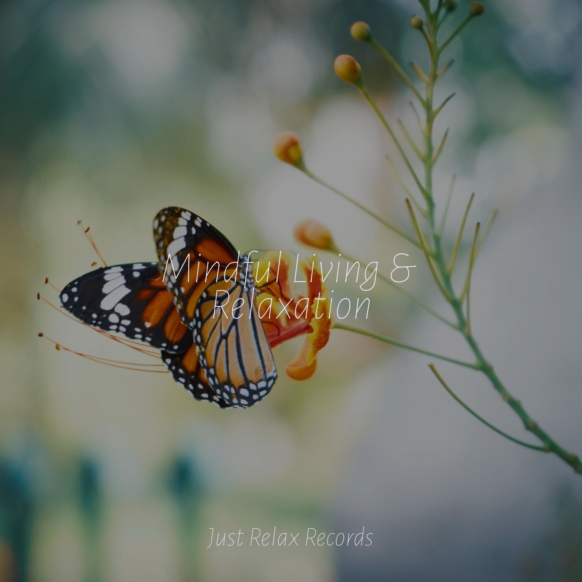 Album cover of Mindful Living & Relaxation