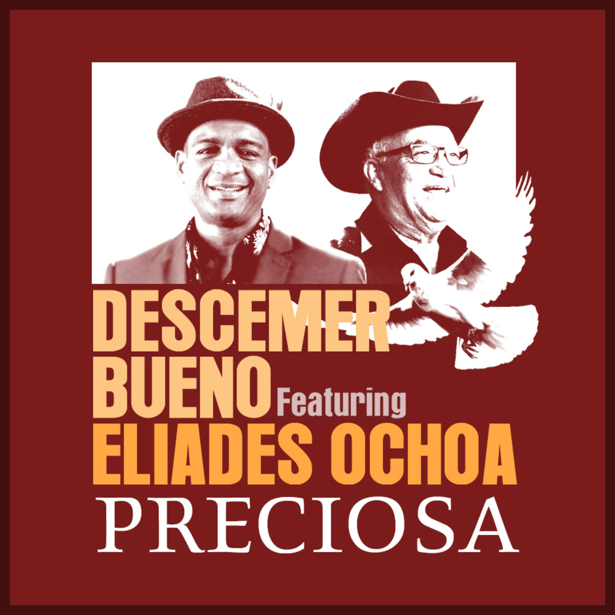 Album cover of Preciosa (feat. Eliades Ochoa)