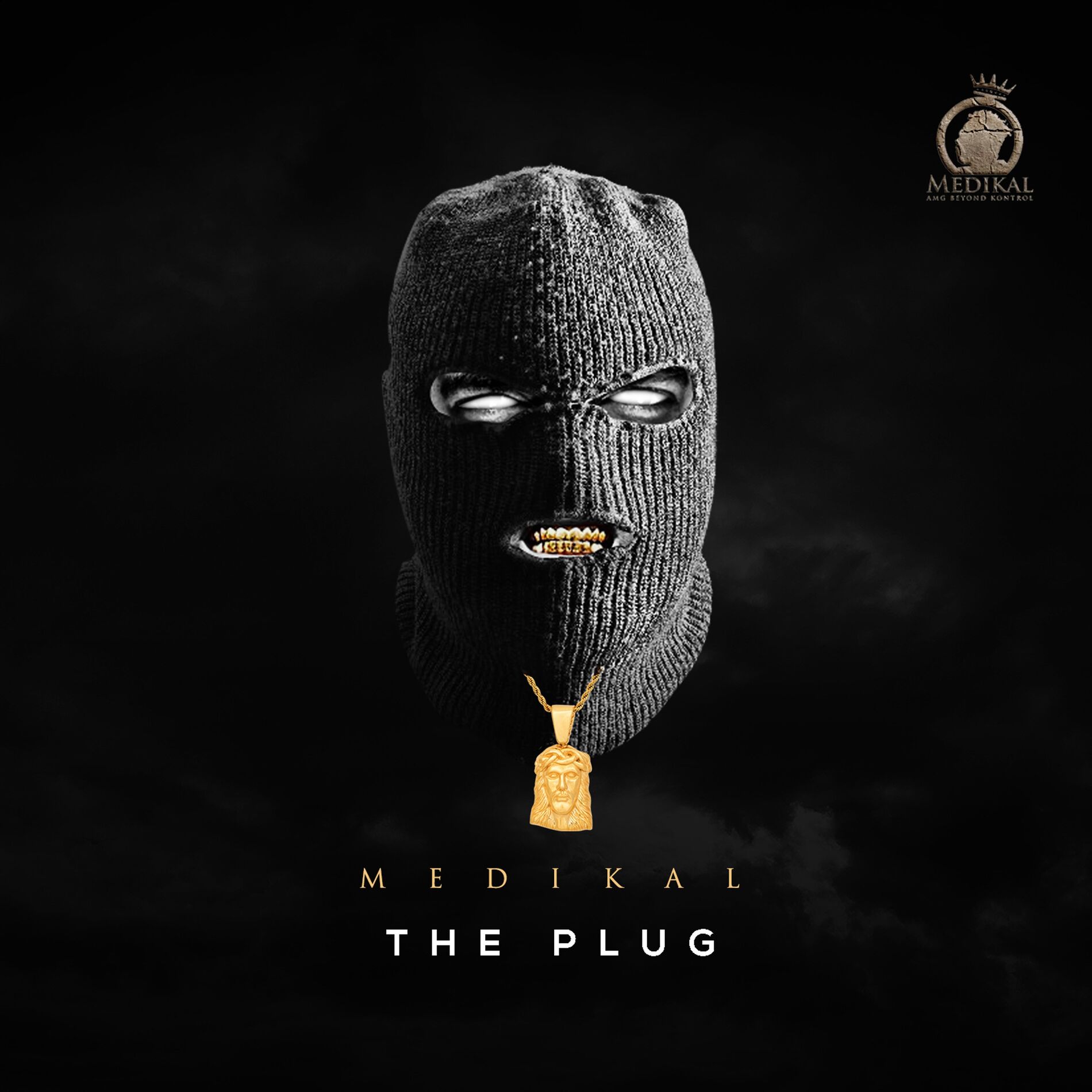 Album cover of The Plug