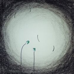 Cover of Adytum (Original)