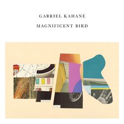 Cover of Magnificent Bird