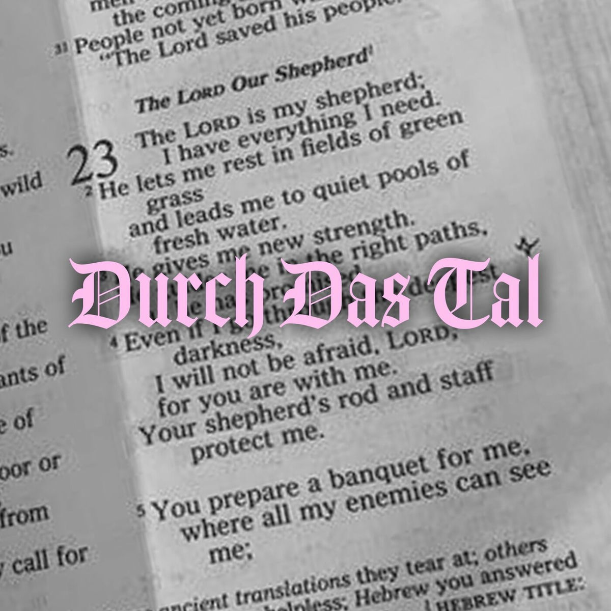 Album cover of Durch das Tal