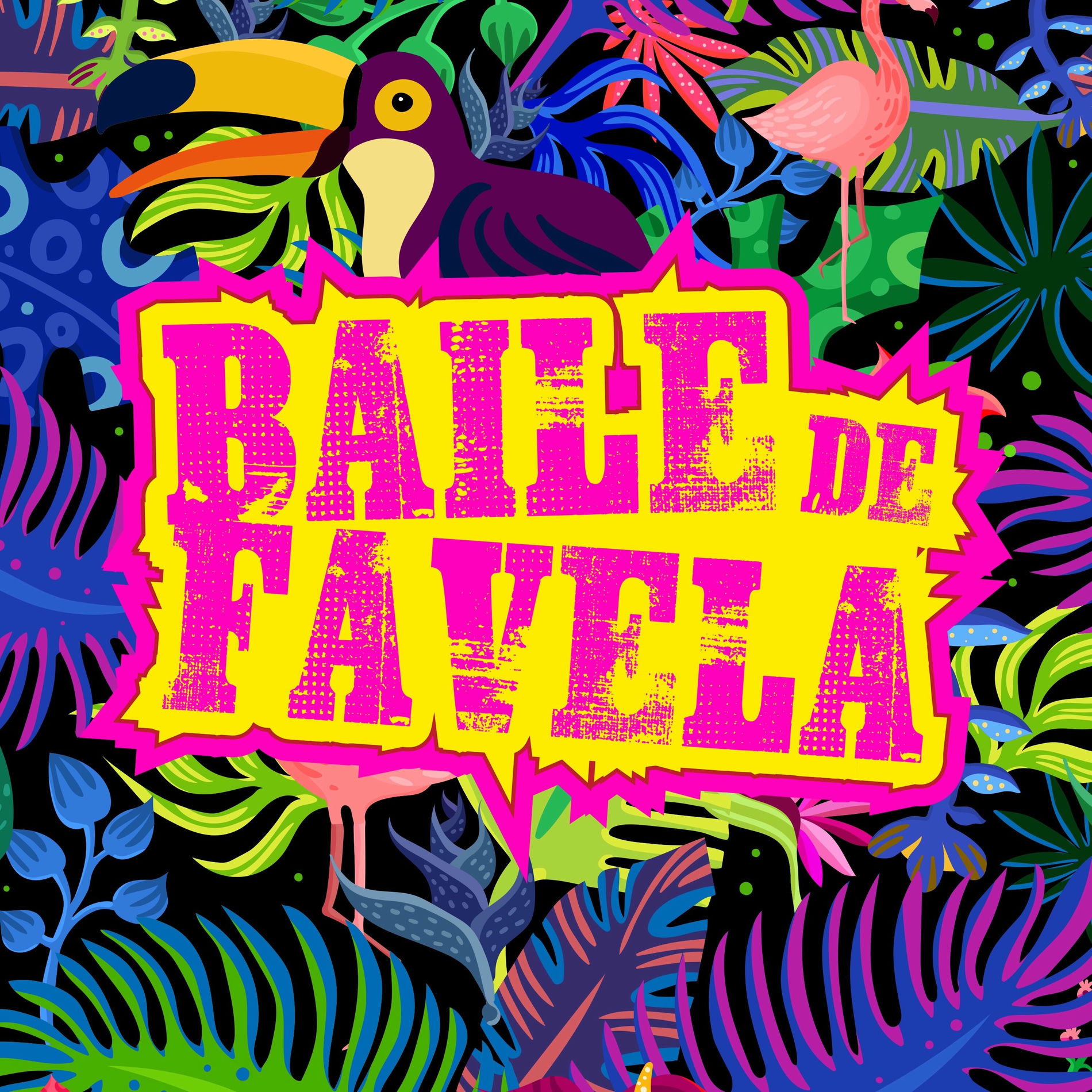 Album cover of Baile de Favela