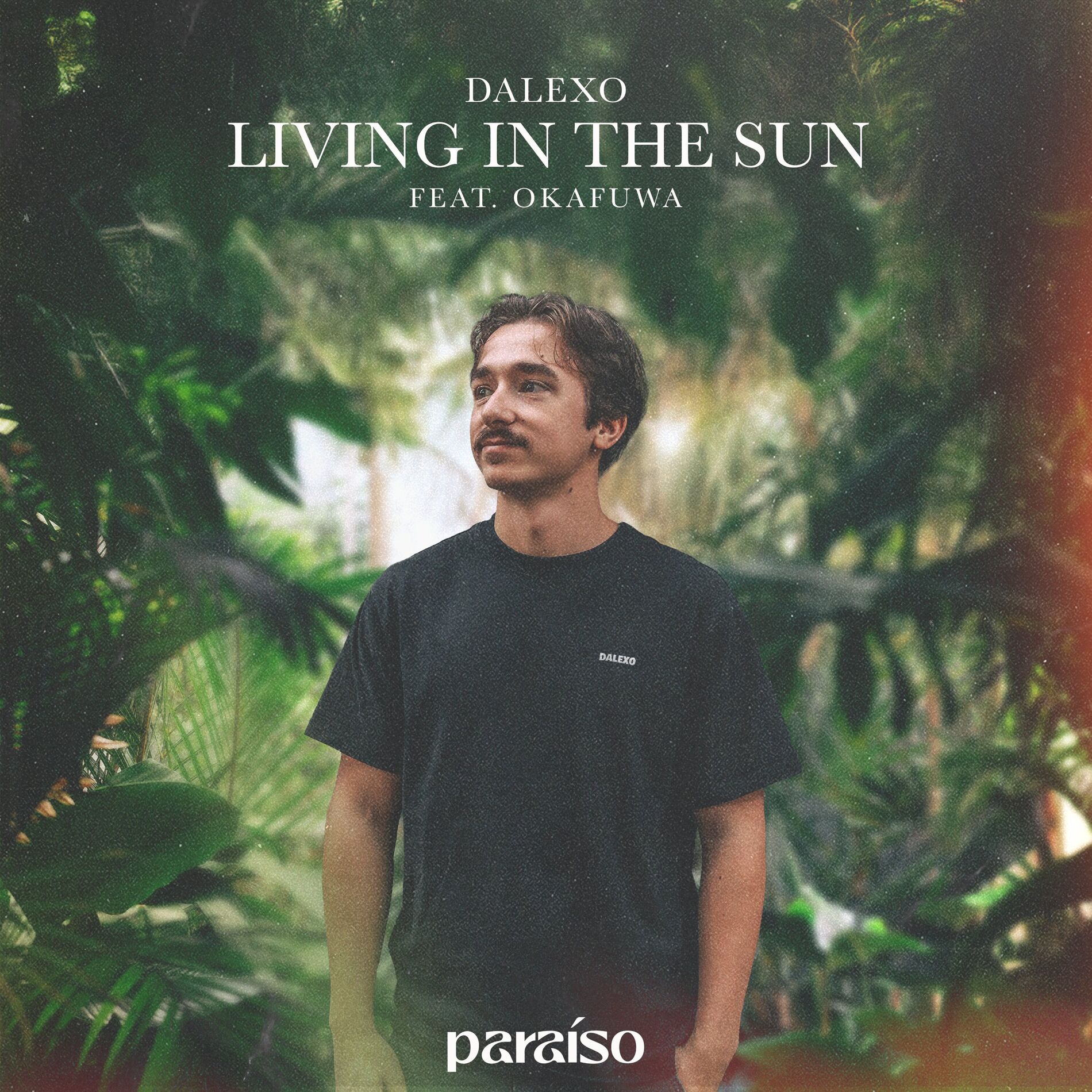 Album cover of Living In The Sun (feat. okafuwa)
