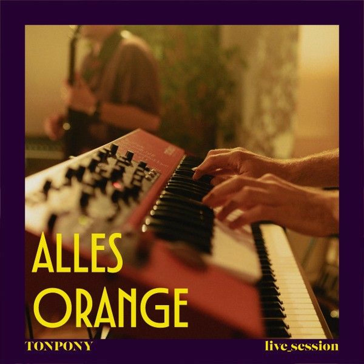 Album cover of Alles Orange (Tonpony Sessions)