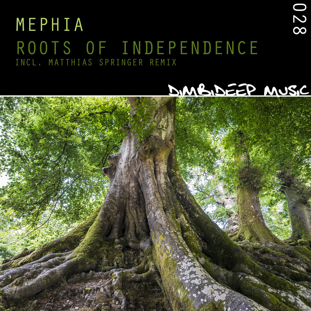 Picture of Roots of Independence