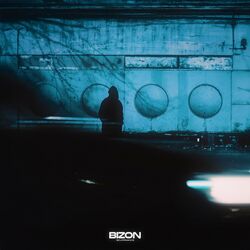 Cover of BIZON