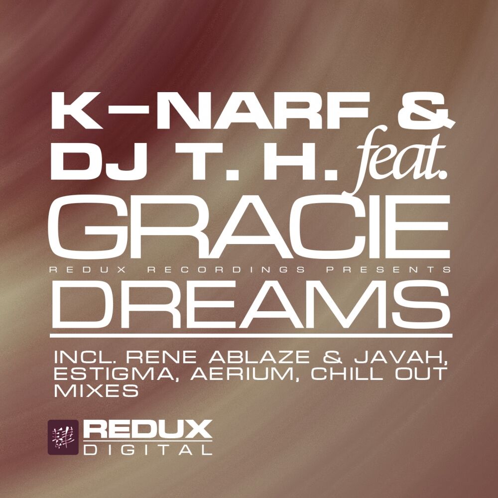 Picture of Dreams (Remixes)
