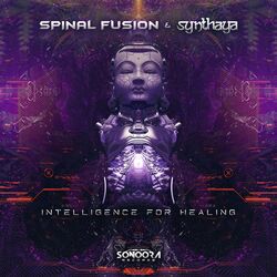 Cover of Intelligence for Healing