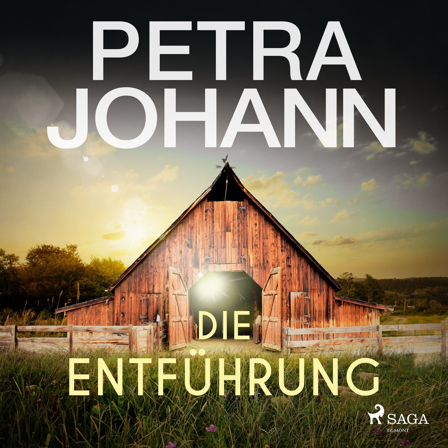 Album cover of Die Entführung